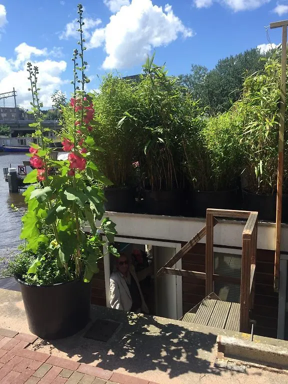 Houseboat Westerdok Amsterdam